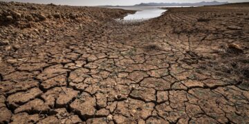 Des obligations sécheresse, le nouvel instrument financier de la Banque mondiale