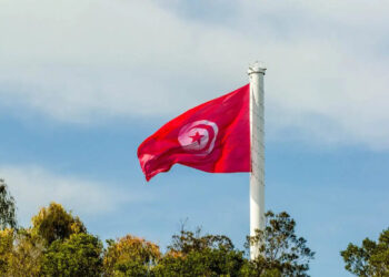 La Tunisie est le 2e pays le plus sécurisé de l'Afrique selon Safety Index 2025