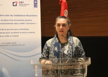 ministère environnement vise soutenir gouvernance climatique secteur financier