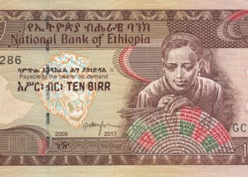 L’Éthiopie passe à un taux de change flottant, le birr perd 30% de sa valeur