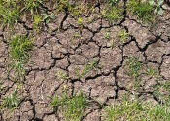 Les 5 prochaines années seront de plus en plus chaudes, selon l’OMM