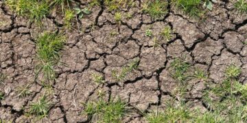 Les 5 prochaines années seront de plus en plus chaudes, selon l’OMM