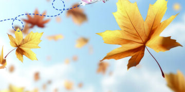 L’arrière-saison avec Tunisair, c’est aussi le temps des voyages au meilleur prix