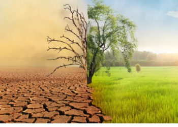 Tunisie face défis environnementaux ne peuvent plus attendre