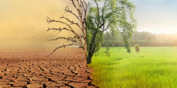 Tunisie face défis environnementaux ne peuvent plus attendre