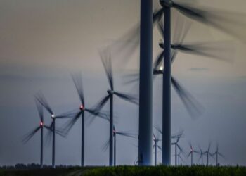 La Tunisie 88e mondiale, selon l’indice de performance environnementale 2024