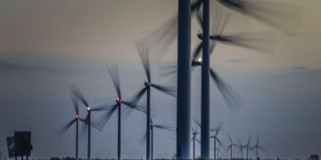 La Tunisie 88e mondiale, selon l’indice de performance environnementale 2024