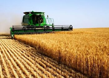 100 millions de dinars pour moderniser l’agriculture dans le bassin de l’oued Tassa