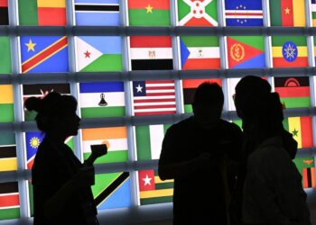 La Chine annonce 51 milliards de dollars d’investissements en Afrique