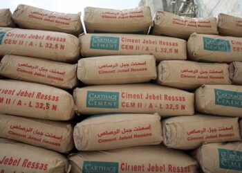 Carthage Cement enregistre une hausse de 48% de son bénéfice net au 1er semestre 2024