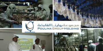 PGH: un bénéfice net en hausse de plus de 24% au 30 juin 2024