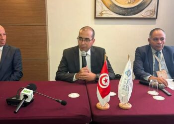 Prosol Elec: un prêt à 3% sur 10 ans pour aider 66 000 foyers à s’équiper en énergie solaire