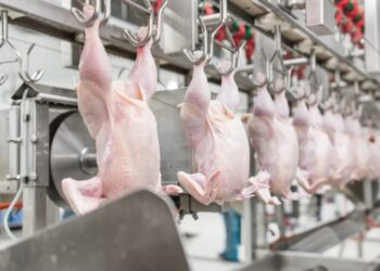 La Sopat est sur la bonne voie du redressement