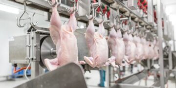 La Sopat est sur la bonne voie du redressement