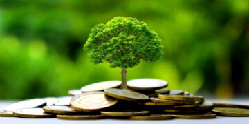 Le financement climatique est-il l’une des responsabilités des banques?