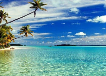 BCT: les recettes touristiques ont augmenté de presque 7% à fin août 2024