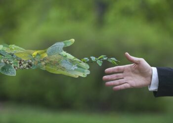 Pnud Tunisie impacter génération future emplois verts