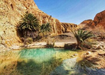 Tozeur: une hausse de 22,8% du nombre de touristes