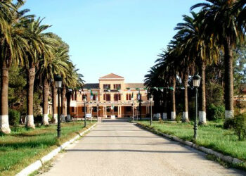 Algérie: 26 établissements parmi les meilleures universités internationales, selon Times International University Rankings