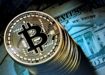 Ce pays arabe est le premier au monde dans l’investissement en cryptomonnaies, selon Tripple A