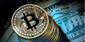 Ce pays arabe est le premier au monde dans l’investissement en cryptomonnaies, selon Tripple A