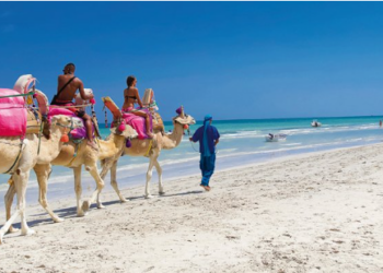 “Mega Fun Tour”: booster le tourisme polonais vers la Tunisie