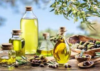 Les prix internationaux de l’huile d’olive devraient bien reculer en 2025