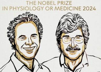 Prix Nobel de médecine 2024: qui sont les lauréats?