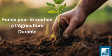 UGFS-NA : Lancement d’un nouveau fonds pour le soutien à l’agriculture et à la durabilité
