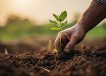 ABAN et SAIS lancent le programme CAICD pour stimuler l’agriculture durable en Afrique