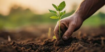 ABAN et SAIS lancent le programme CAICD pour stimuler l’agriculture durable en Afrique