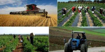 Baisse des investissements agricoles privés en Tunisie: voici les chiffres