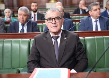 Le parlement tunisien adopte un accord avec la banque européenne d’investissement pour le projet Elmed