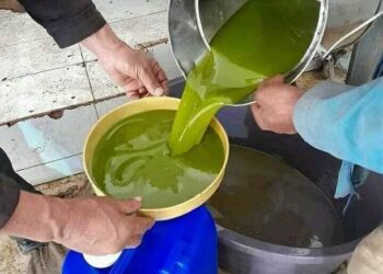 Précisions du ministère de l’agriculture sur les prix de l’huile d’olive pour la saison 2024-2025