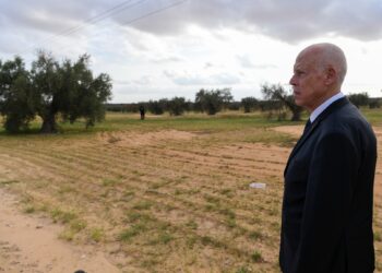 37 tracteurs vendus pour 167 000 dinars: le président de la République s’insurge contre une gestion douteuse des biens publics