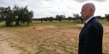 37 tracteurs vendus pour 167 000 dinars: le président de la République s’insurge contre une gestion douteuse des biens publics