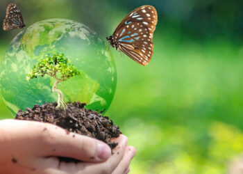 Tunis: une journée d’information le 8 octobre pour une conférence sur la biodiversité en Colombie