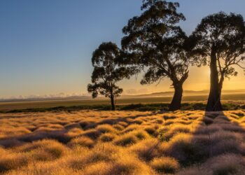 FMI majorité pays Afrique subsaharienne doivent réduire déséquilibres macroéconomiques