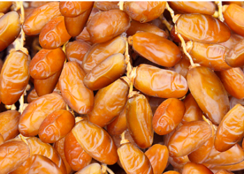 Les États-Unis allouent plus de 76 millions de dinars au secteur des dattes en Tunisie