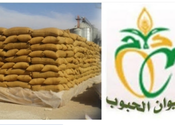 Office des céréales Tunisie: appel d’offres pour l’achat de 200.000 tonnes de blé