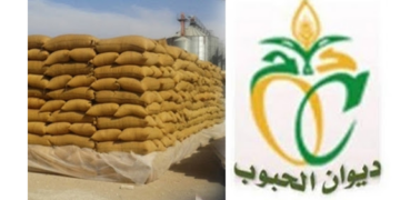 Office des céréales Tunisie: appel d’offres pour l’achat de 200.000 tonnes de blé