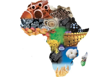 Quelle est cette ressource dont la production en Afrique pourrait augmenter de 400% d’ici 2030?