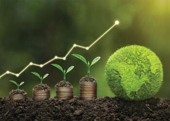 Voici les 4 projets sélectionnés pour bénéficier du programme “Lead4Green”