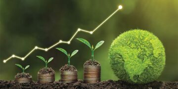 Voici les 4 projets sélectionnés pour bénéficier du programme “Lead4Green”