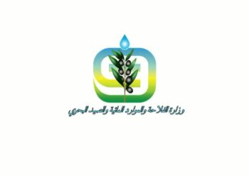 Voici les nouvelles mesures pour soutenir les producteurs d’huile d’olive et les céréaliers