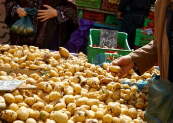 Pommes de terre: pourquoi les prix s’envolent?