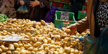 Pommes de terre: pourquoi les prix s’envolent?