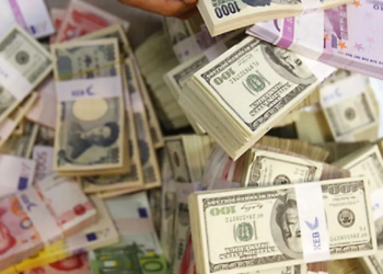 Réserves en devises: un niveau suffisant pour être rassuré?