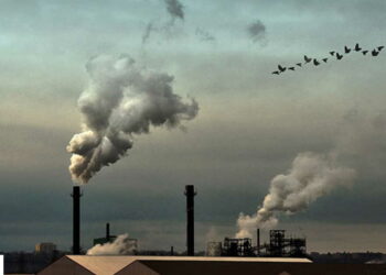 La zone Mena est un gisement pour les marchés volontaires de carbone