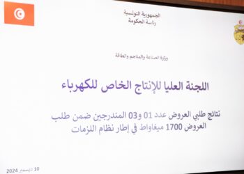 La Tunisie valide deux projets pour produire 1700 mégawatts d’électricité verte